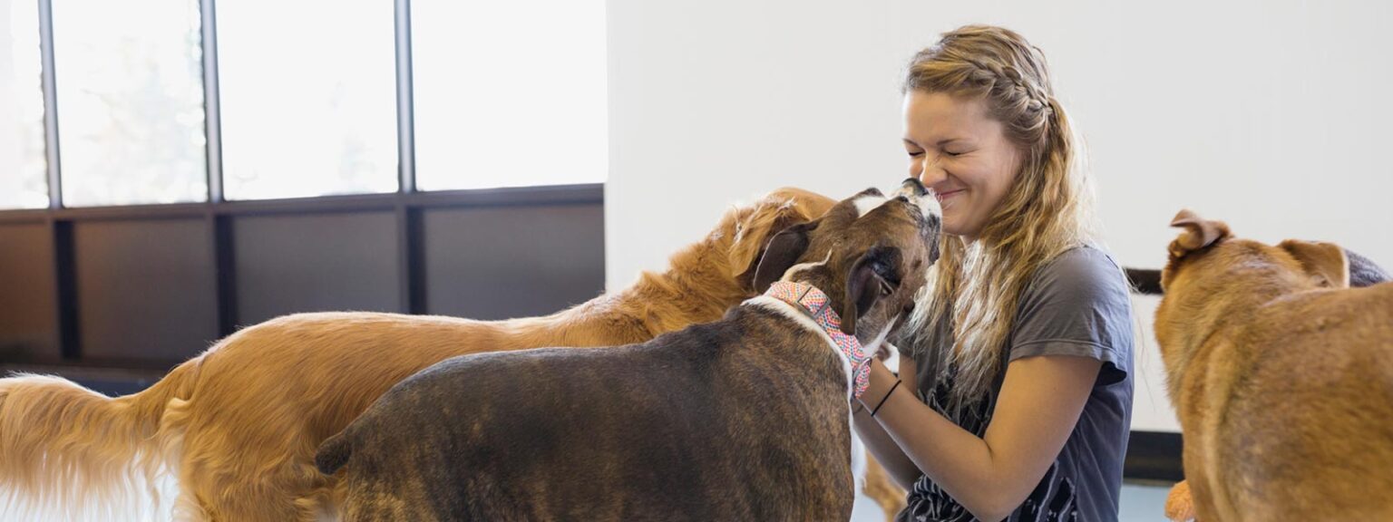 Dog DayCare Hound Heelton Hendersonville TN