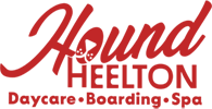 Hound Heelton - Dog day care center in Hendersonville